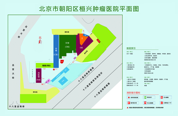 香港黄片肏屄片北京市朝阳区桓兴肿瘤医院平面图